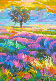When lavender flowers
